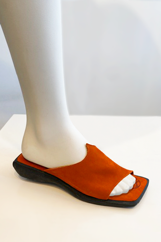 Arche Fujisan in Caramel