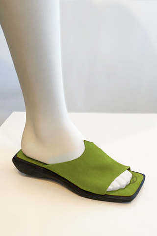 Arche Fujisan in Cactus