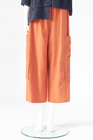 H.P. Pant in Papaya Roma